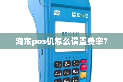 海东pos机怎么设置费率？