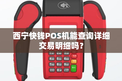 西宁快钱POS机能查询详细交易明细吗？