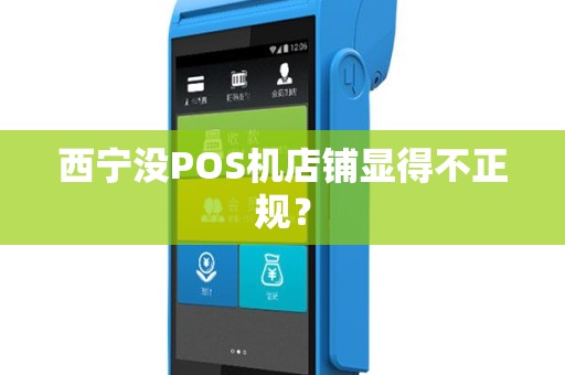 西宁没POS机店铺显得不正规？