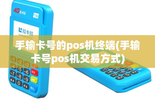 手输卡号的pos机终端(手输卡号pos机交易方式)
