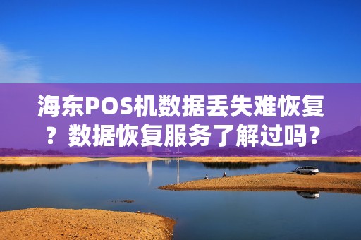 海东POS机数据丢失难恢复？数据恢复服务了解过吗？