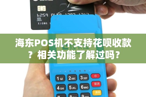 海东POS机不支持花呗收款？相关功能了解过吗？