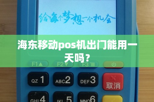 海东移动pos机出门能用一天吗？