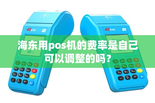 海东用pos机的费率是自己可以调整的吗？
