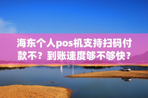 海东个人pos机支持扫码付款不？到账速度够不够快？