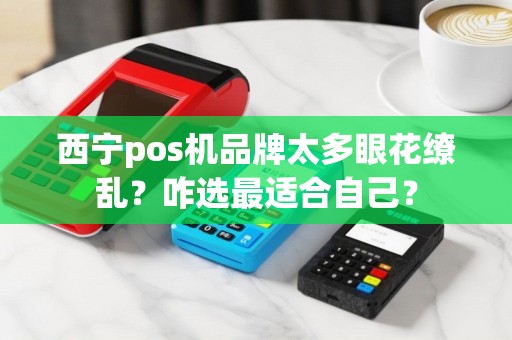 西宁pos机品牌太多眼花缭乱？咋选最适合自己？