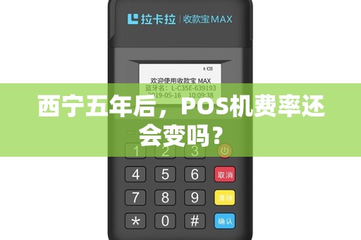 西宁五年后，POS机费率还会变吗？