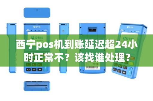 西宁pos机到账延迟超24小时正常不？该找谁处理？