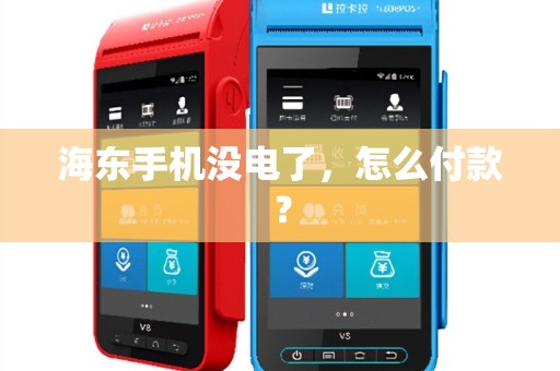 海东手机没电了，怎么付款？