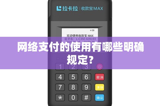 网络支付的使用有哪些明确规定？