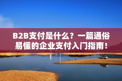 B2B支付是什么？一篇通俗易懂的企业支付入门指南！