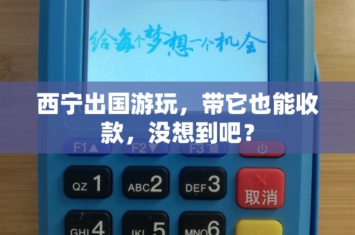 西宁出国游玩，带它也能收款，没想到吧？