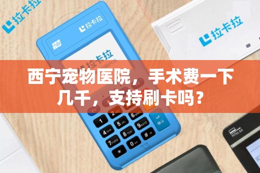 西宁宠物医院，手术费一下几千，支持刷卡吗？