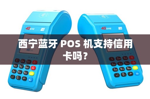 西宁蓝牙 POS 机支持信用卡吗？