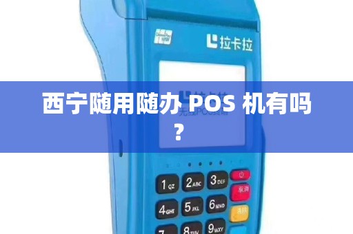 西宁随用随办 POS 机有吗？