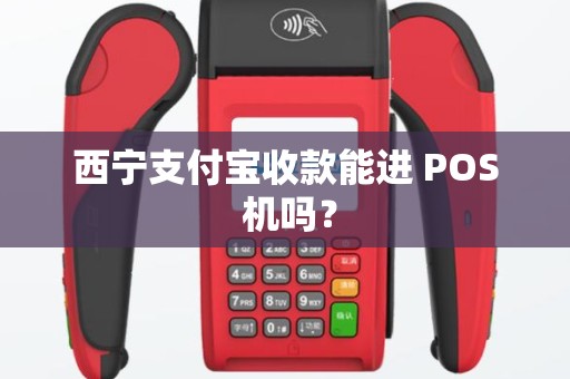 西宁支付宝收款能进 POS 机吗？