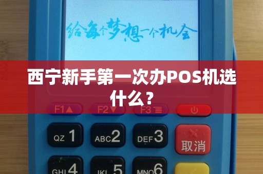 西宁新手第一次办POS机选什么？