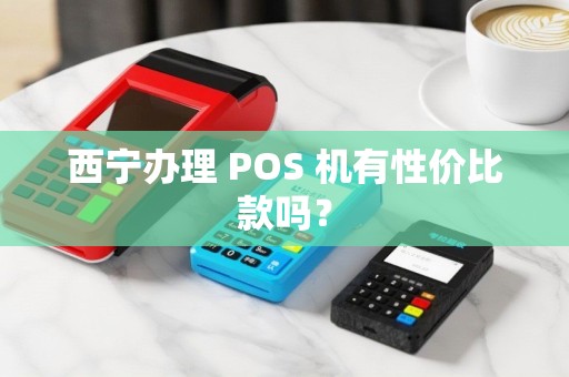 西宁办理 POS 机有性价比款吗？