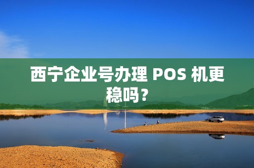 西宁企业号办理 POS 机更稳吗？