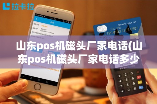 山东pos机磁头厂家电话(山东pos机磁头厂家电话多少)