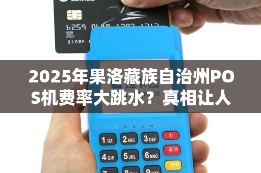 2025年果洛藏族自治州POS机费率大跳水？真相让人意想不到！