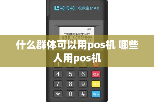 什么群体可以用pos机 哪些人用pos机