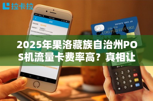 2025年果洛藏族自治州POS机流量卡费率高？真相让人意外！