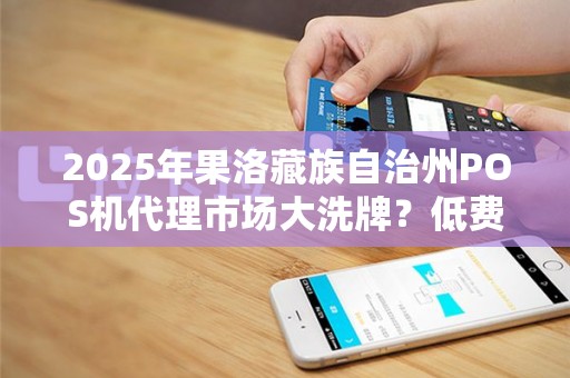 2025年果洛藏族自治州POS机代理市场大洗牌？低费率云闪付背后藏着什么秘密？
