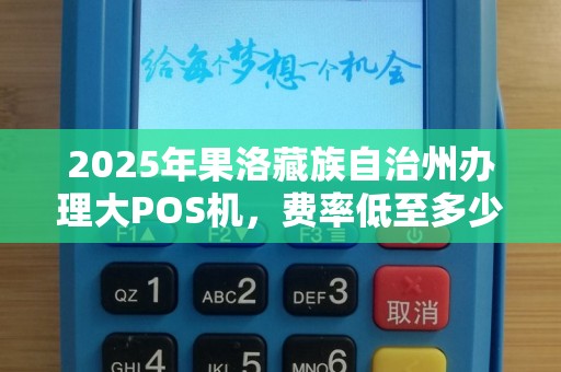 2025年果洛藏族自治州办理大POS机，费率低至多少？揭秘背后隐藏的3大陷阱！