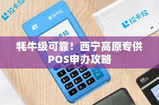 牦牛级可靠！西宁高原专供POS申办攻略