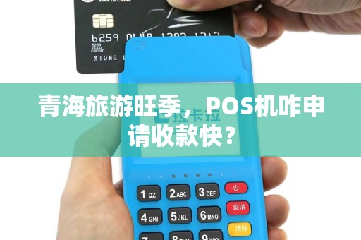 青海旅游旺季，POS机咋申请收款快？