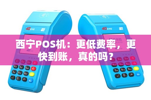 西宁POS机：更低费率，更快到账，真的吗？