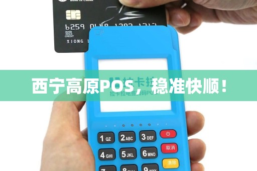 西宁高原POS，稳准快顺！