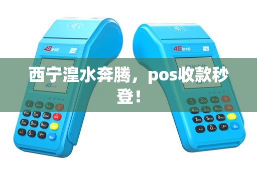 西宁湟水奔腾，pos收款秒登！