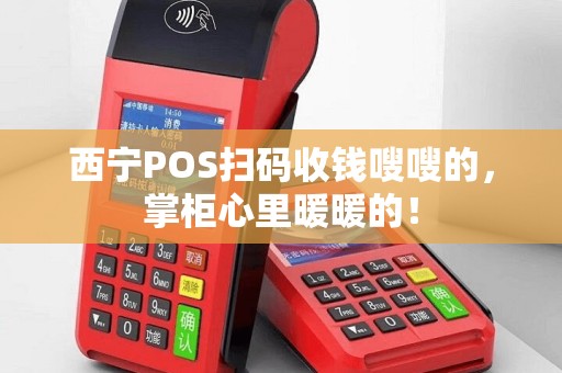 西宁POS扫码收钱嗖嗖的，掌柜心里暖暖的！