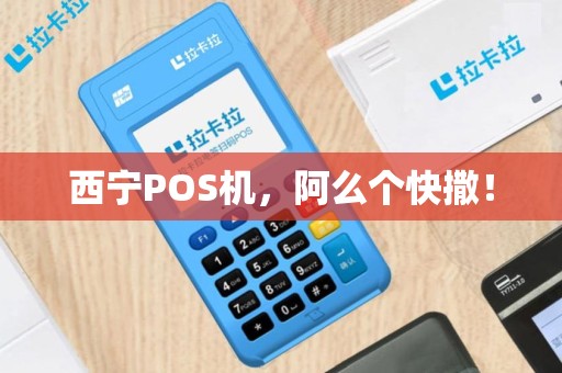 西宁POS机，阿么个快撒！