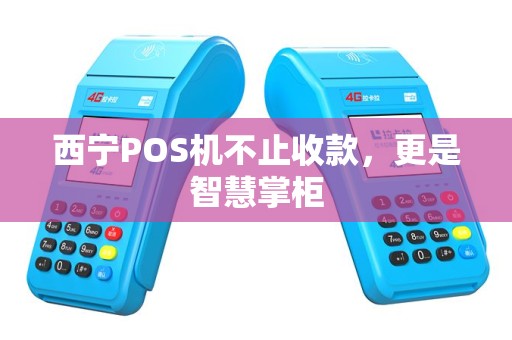 西宁POS机不止收款，更是智慧掌柜