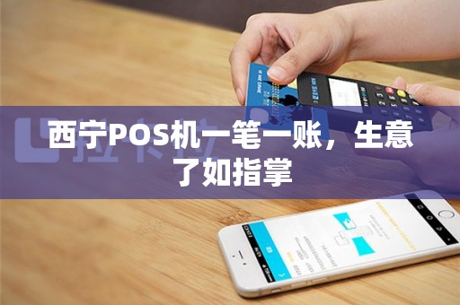 西宁POS机一笔一账，生意了如指掌