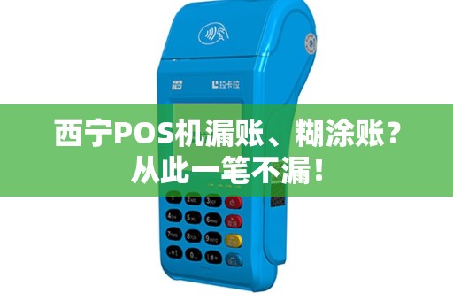 西宁POS机漏账、糊涂账？从此一笔不漏！