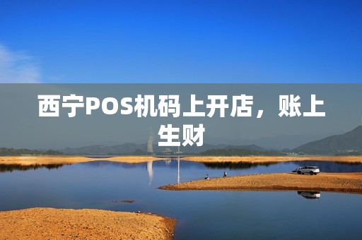 西宁POS机码上开店，账上生财