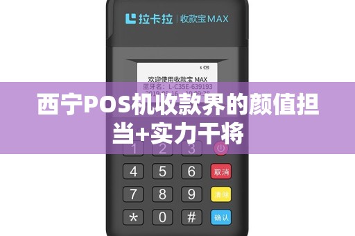 西宁POS机收款界的颜值担当+实力干将
