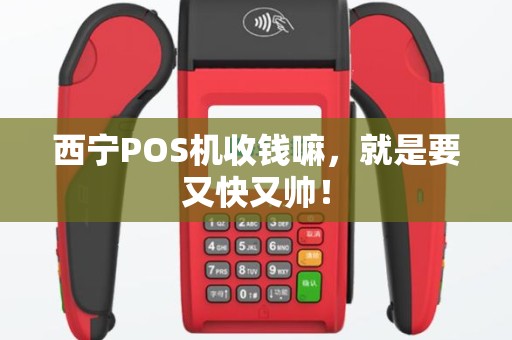 西宁POS机收钱嘛，就是要又快又帅！