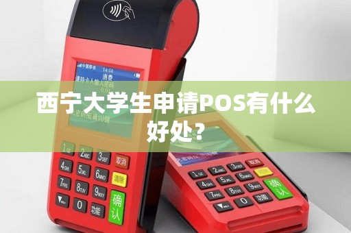 西宁大学生申请POS有什么好处？