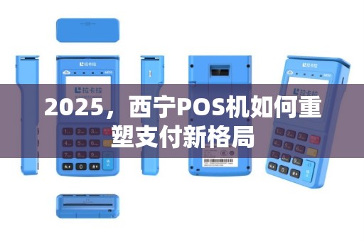 2025，西宁POS机如何重塑支付新格局
