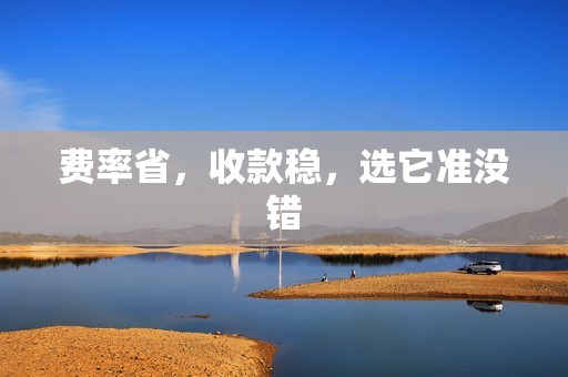 费率省，收款稳，选它准没错