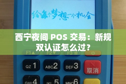 西宁夜间 POS 交易：新规双认证怎么过？
