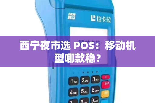 西宁夜市选 POS:移动机型哪款稳?