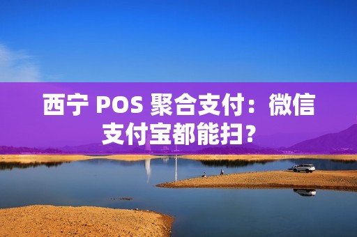 西宁 POS 聚合支付：微信支付宝都能扫？