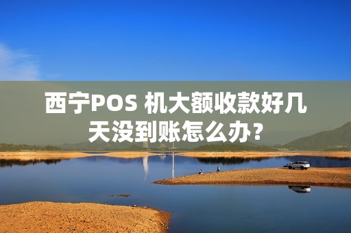 西宁POS 机大额收款好几天没到账怎么办？