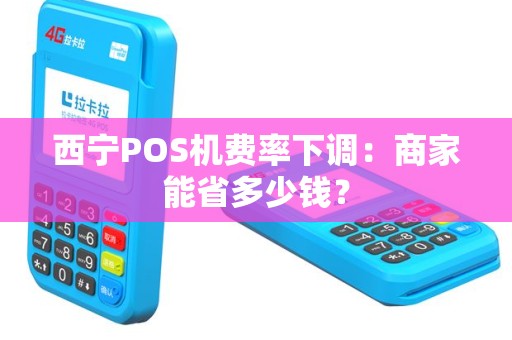 西宁POS机费率下调：商家能省多少钱？